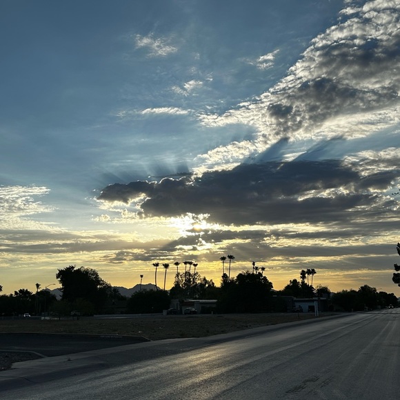 Meet your Posher, Avery - Picture 1 of 1